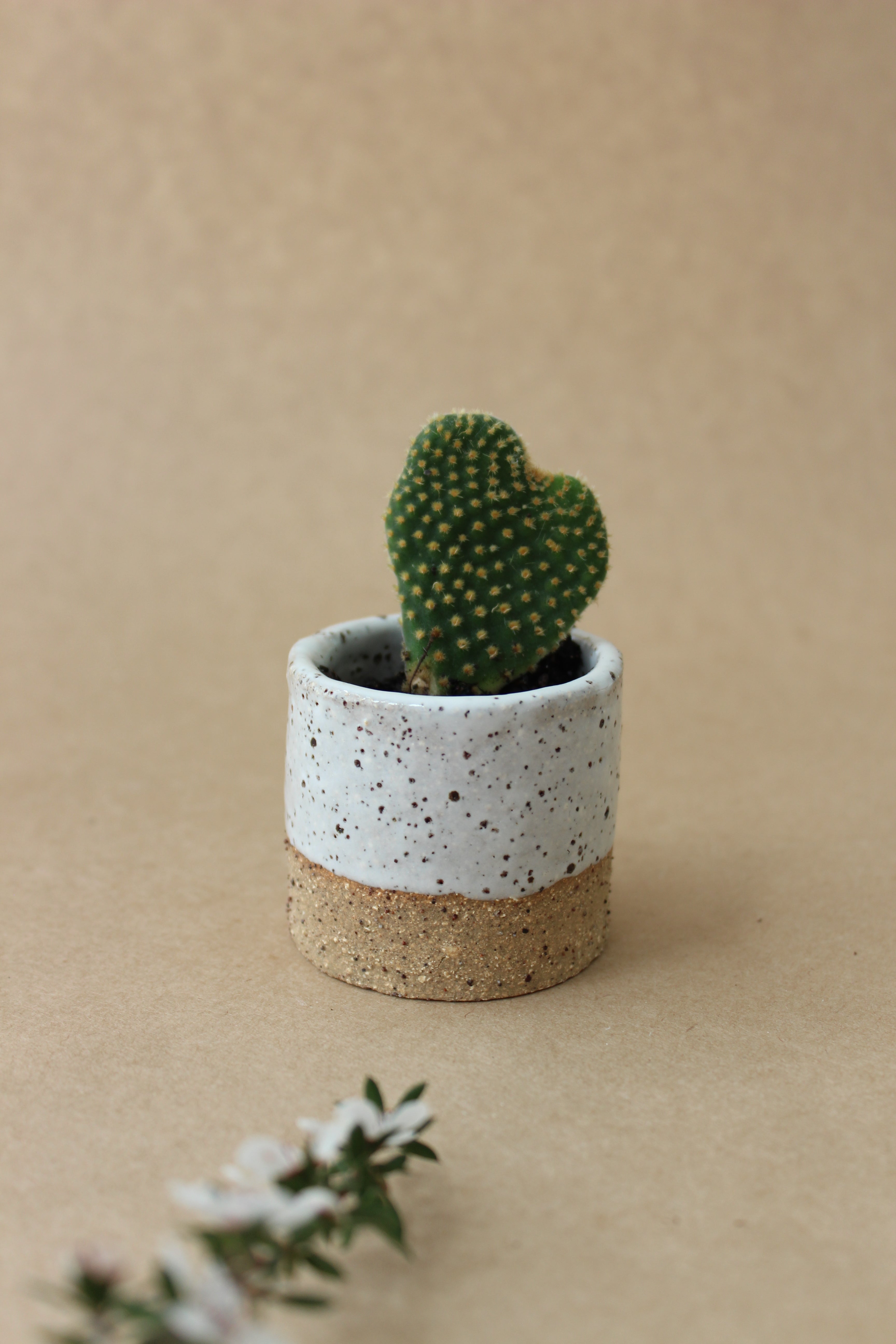 Tiny Vessel/Planter - White Speckle