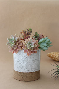 Large Planter - White Speckle