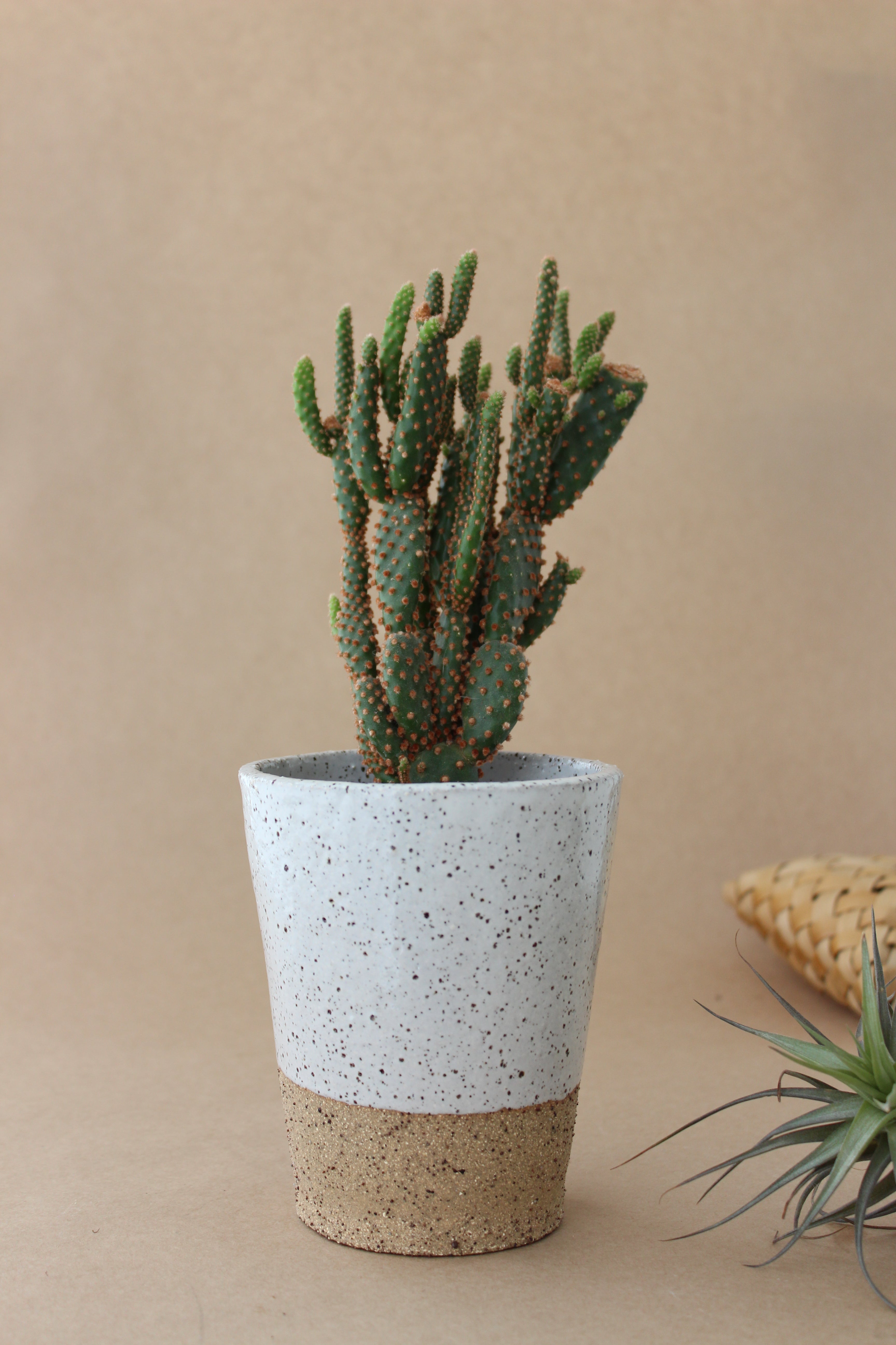 Large Cup Planter - White Speckle