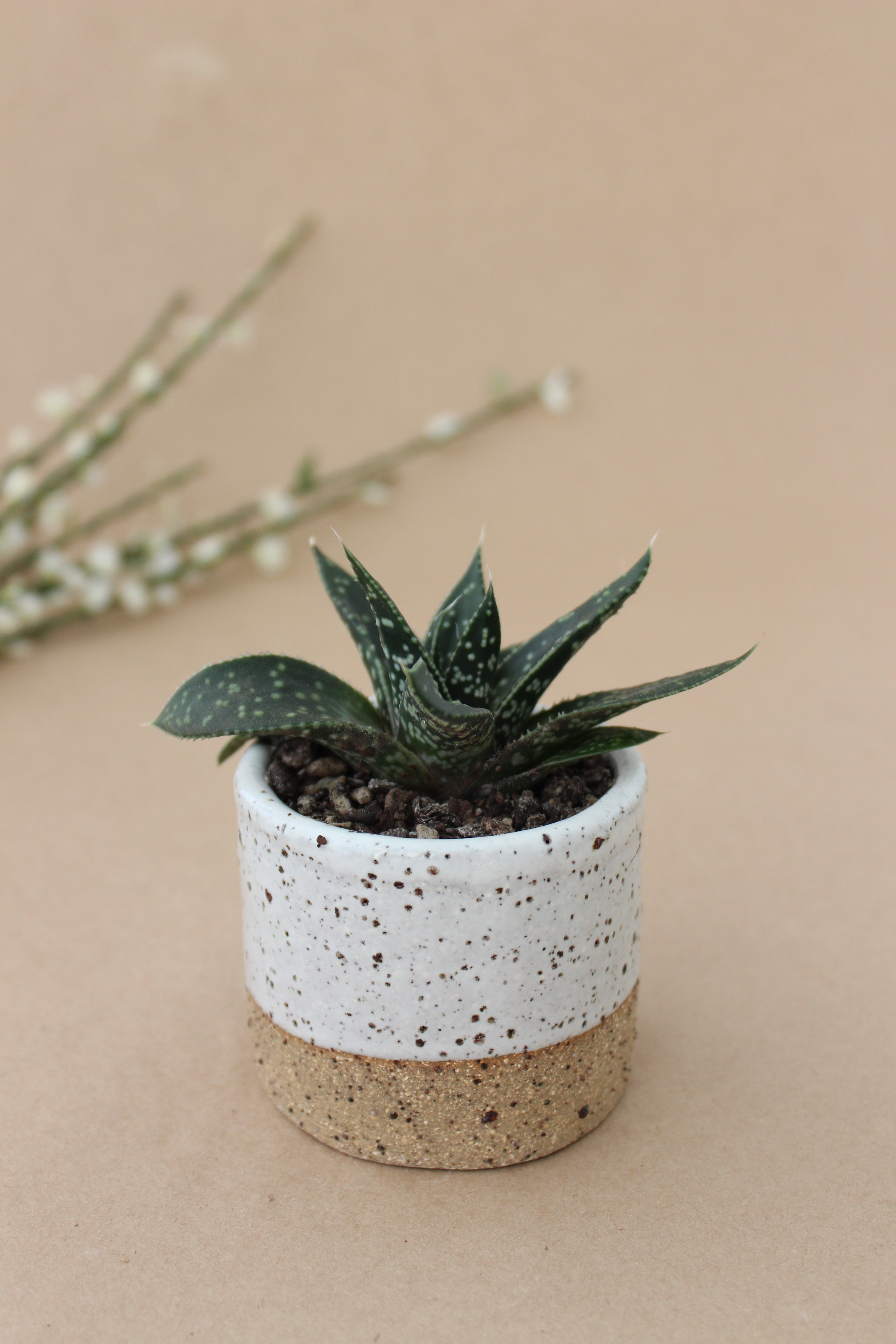 Small Planter - White Speckle