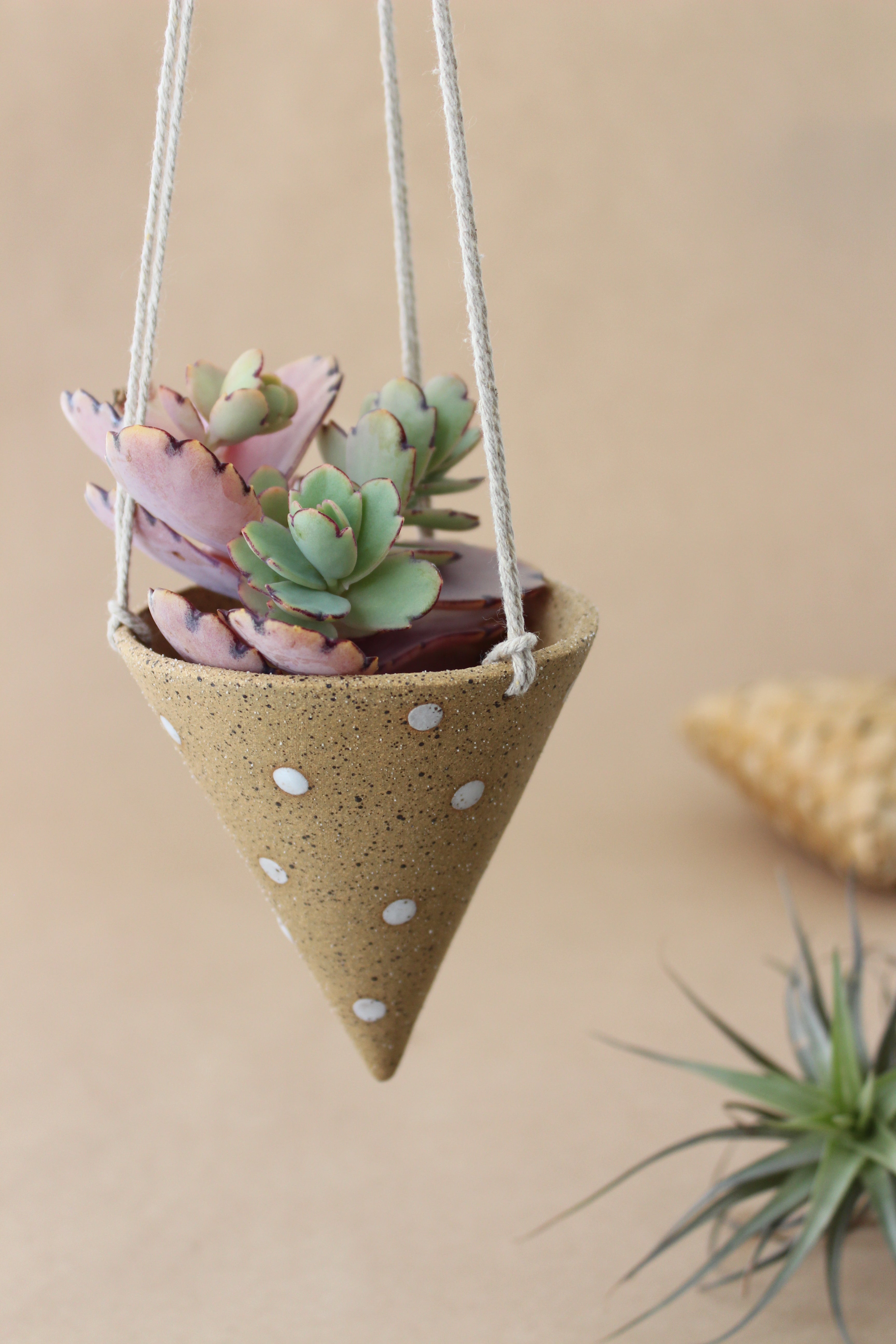 Cone Hanger Planter - Alabastar Spot