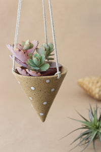 Cone Hanger Planter - Alabastar Spot