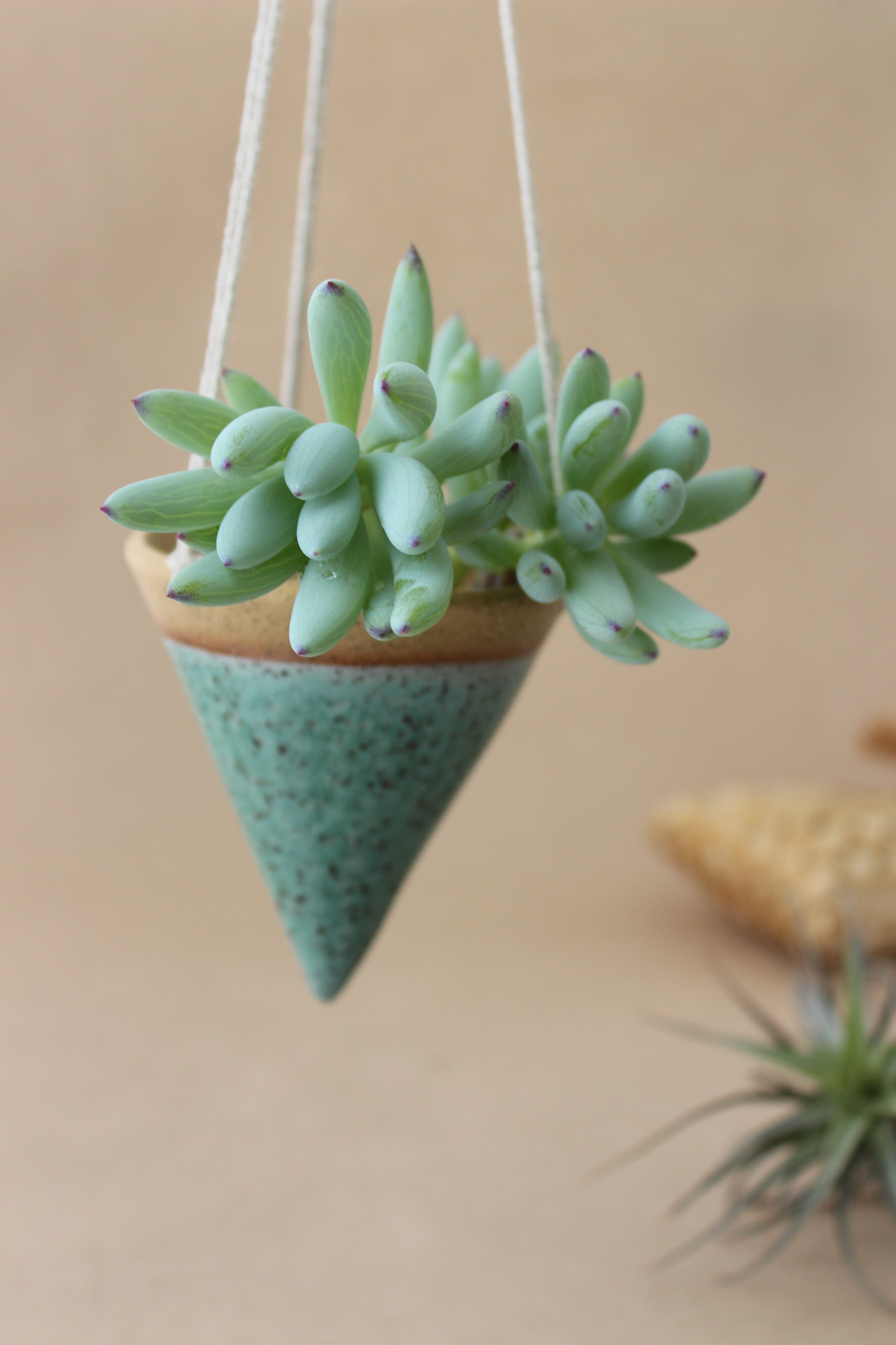 Cone Hanger Planter - Seafoam