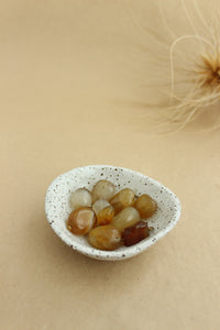 Coconut Shell Dish - Mid size - Speckle White