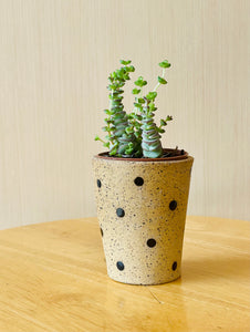 Small Cup Planter - Black Spot