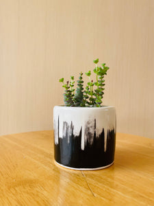 Small Planter - Paint Stroke